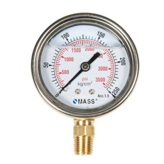 Mass water pressure gauge